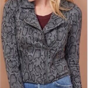 Lemon tart snake print Moto jacket. Sz l